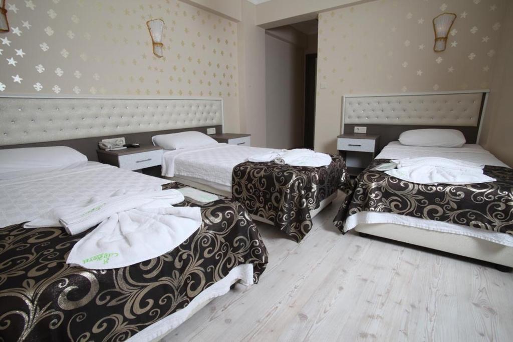 Bursa City Hotel Bilik gambar
